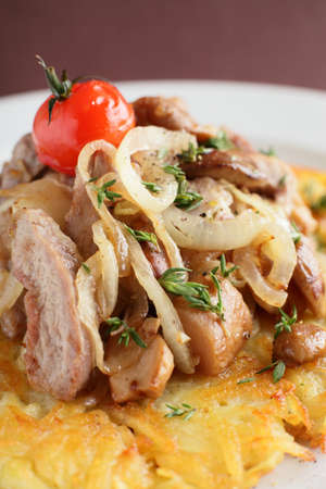 fresh and tasty peaces of meat with garnishの写真素材