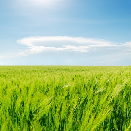 green field and blue cloudy sky
