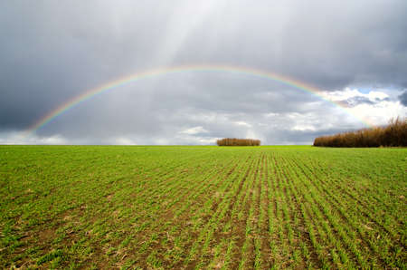 natural rainbow over green fieldの写真素材