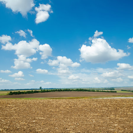 ploughed field and light clouds over it