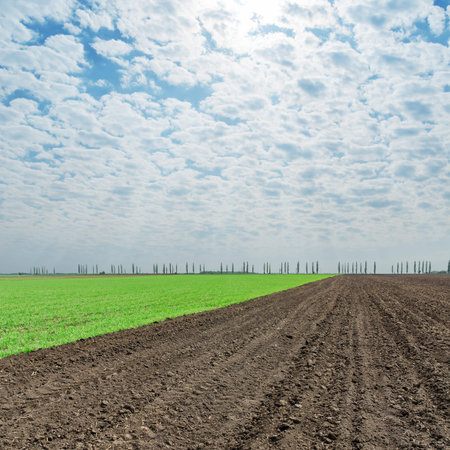 plowed and green fields under cloudy skyの写真素材
