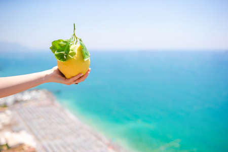 Big yellow lemon in hand in background of mediterranean sea and sky.の写真素材