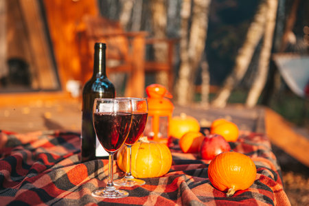 Pumpkins and bottle of red wine with two glasses on the blanketの写真素材