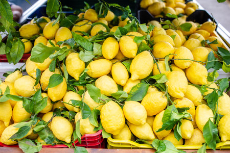 Wicker basket full of lemons on the italian street od Cornigliaの写真素材
