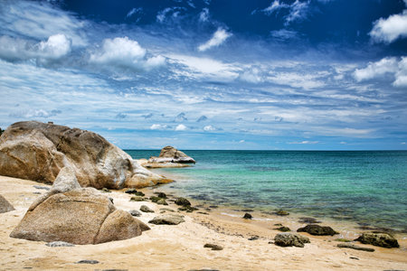 Caribbean clear beach and tropical sea