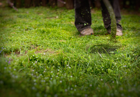 Gardener is using a petrol brush cutter to mow long grass and flowers
