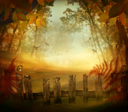 Autumn design - Forest with wood fence. Fall art design with landscape with pastel colors in woodsの写真素材