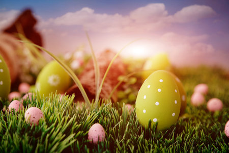 Colorful Easter eggs. Holiday nature concept with easter hunt. Eggs in the sunny meadowの写真素材