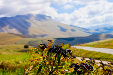 National Park of the Sibillini Mountains. Fields in Castelluccio di Norcia, Umbria, Italy. October 2019.の写真素材