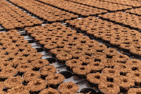 Flower pots filled with soil. Preparing plastic pots for gardening in plant nursery. Concept with...