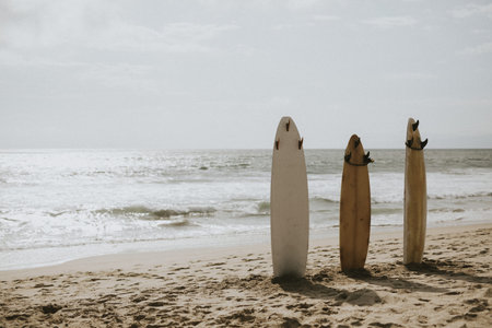 Surfboard mockup on the beachの素材