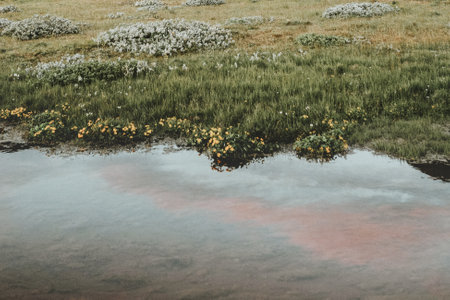View of Seljalandsfoss waterfall in Icelandの素材