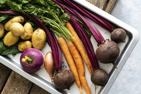 Various of fresh organic vegetable on a metal trayの素材