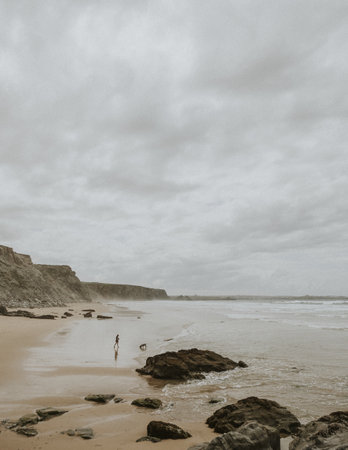 Woman and a dog at the beach on a warm gloomy dayの素材