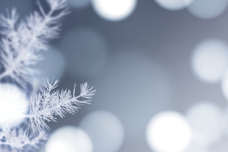 Frosty tree with white bokeh lights backgroundの素材