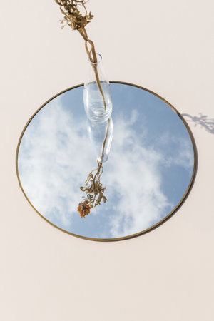 Dry orange ranunculus in a clear vase on a mirrorの素材
