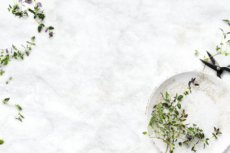 Healthy diet background with thyme leaf borderの素材