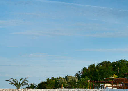 vegetation and wooden structures on the seashoreの写真素材