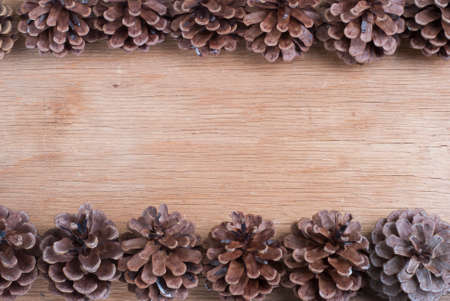 pine cones spread out on a wooden background textureの写真素材