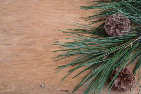 background with a pine branch on a wooden textureの写真素材