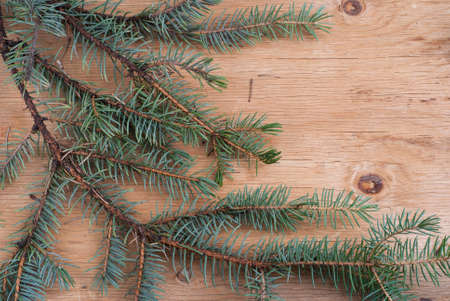 background with fir branches on wooden textureの写真素材