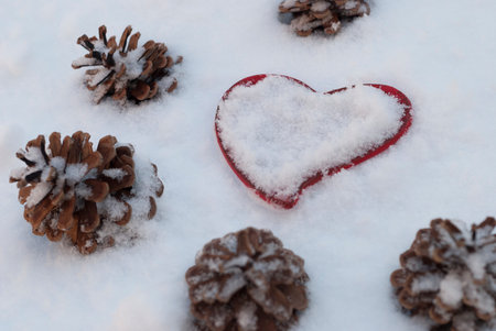 red heart and pine cones on a snowy background