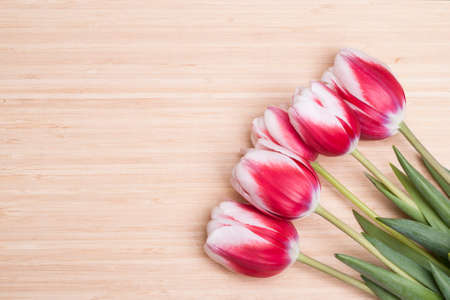 five red tulips lie on a wooden tableの写真素材