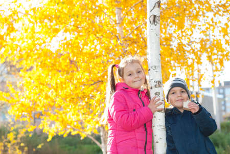 boy and girl near the birch on an autumn sunny dayの写真素材