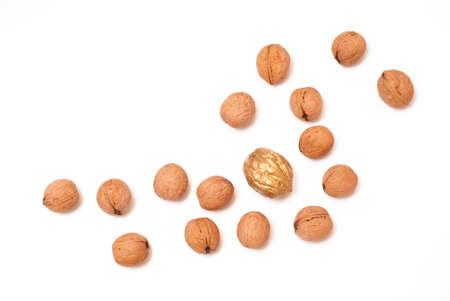 One Golden nut among a group of ordinary nuts. Leader, individuality, best worker, best employee, team. Business conceptual image.の写真素材