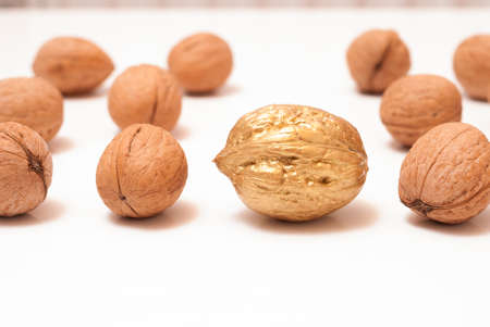One Golden nut among a group of ordinary nuts. Leader, individuality, best worker, best employee, team. Business conceptual image.の写真素材