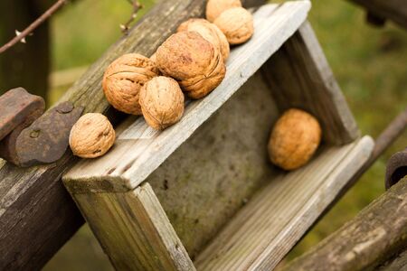 nuts in boxの写真素材