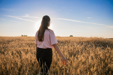 Girl in wheat field, girls hand and wheat spikelets, sunset on fieldの写真素材
