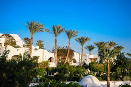 red sea white houses tropical location paradise palms green treeの写真素材