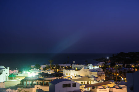 night in paradise palm arab style egypt tropical locationの写真素材