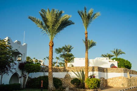 tropical location white houses arab style in red sea paradise palms and sunnyの写真素材