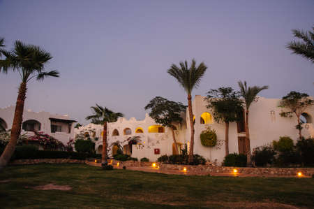 night in paradise palm arab style egypt tropical location palmのeditorial素材