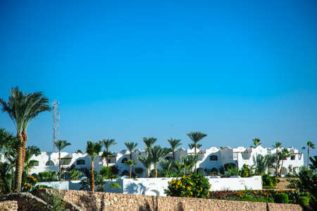 red sea white houses tropical location paradise palms green treeの写真素材
