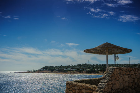 tropical red sea beach paradise egypt exotic view