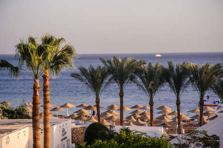 red sea white houses tropical location paradise palms green treeの写真素材