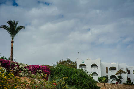 white house red sea in tropical resort whith palm and sandの写真素材