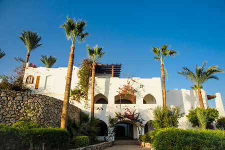 tropical location white houses arab style in red sea paradise palms and sunnyの写真素材