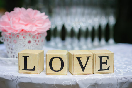 love wedding deocration flowers vintage nice pink outdoor summerの写真素材