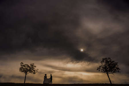 wedding bride groom sky dramatic beatiful love treeの写真素材
