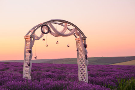 Beautiful field of blooming lavender with wedding wood decoration in the summerの写真素材