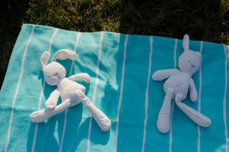A white fluffy soft stuffed toy rabbit bunny sitting on the grassの写真素材