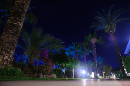 Romantic and beautiful night tropical location dark blue sky, summer vacation conceptの写真素材