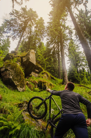 A handsome man on a bicycle in the green wood, back view