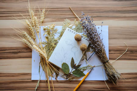 Top view shot composition of dried flowers lavender, pencil, notebook, leaves and wheat  on whood Background with Real Shadow. Concept of  botanist painter workspace.の写真素材
