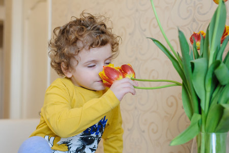 Little handsome boy with curly hair, smells a tulip, clouse viewの写真素材