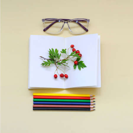 Some colored pencils with glases, a notebook and berries, top view, on a beige backgroundの写真素材